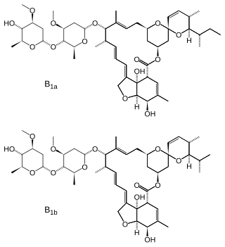 <span class="mw-page-title-main">Avermectin</span> Drugs to treat parasitic worms and insect pests