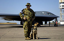 Eine Northrop B-2 der USAF auf der Basis