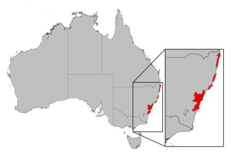 B ericifolia dist map gnangarra.png