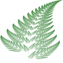 Barnsley fern plotted with Processing