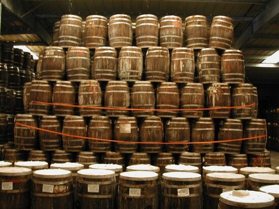 Tabasco pepper mash aging in barrels on Avery Island, Louisiana.