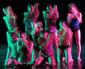 Batsheva Dance Company by David Shankbone.jpg