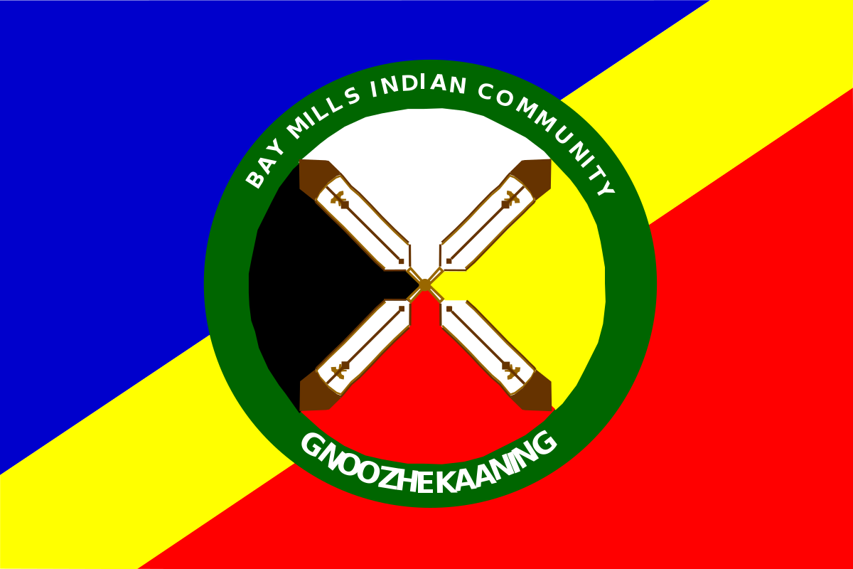 logo image of flag