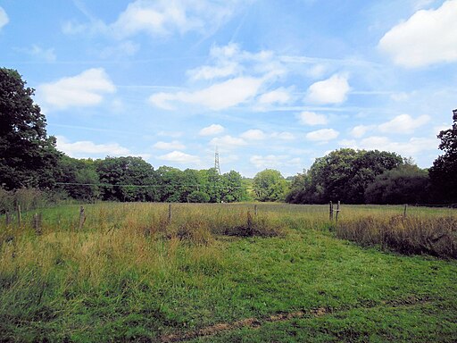 Bedeland Farm Local Nature Reserve - geograph.org.uk - 4098110