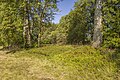 * Nomination Forest edge near "Bocksgraben" channel near Fichtelberg, in "Montane meadows of the southern Fichtelgebirge" SAC --Plozessor 04:11, 20 May 2024 (UTC) * Promotion  Support Good quality. --Ermell 04:26, 20 May 2024 (UTC)