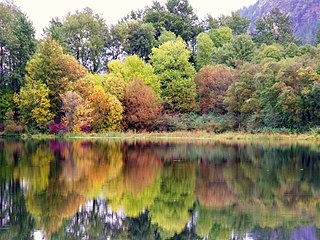 Benson State Recreation Area