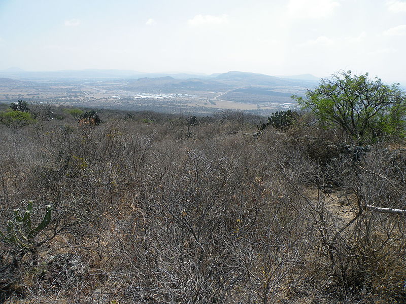 File:Between Cadereyta and Ezecial del Montes, Queretaro (5760749865).jpg