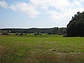 Bewaldetes Hinterland auf Usedom