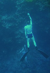 freediving in the Red Sea Blue Hole Sinai-Free Diving.jpg