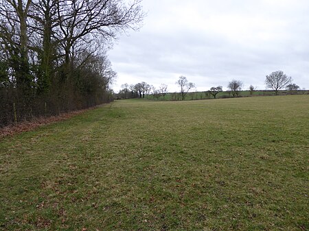 Boddington Meadow 3