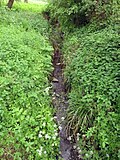 Thumbnail for File:Boundary Brook - geograph.org.uk - 5986368.jpg