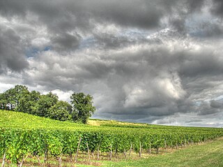 Côtes de Bourg