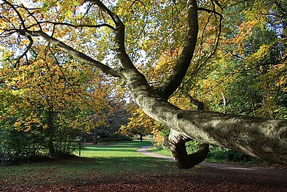 How to get to Brandon Country Park with public transport- About the place