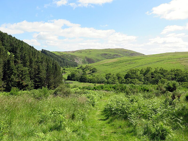 File:Bridleway near junction of Common and Broadstruthers Burns - geograph.org.uk - 6201265.jpg