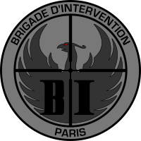 Illustrativt billede af artiklen Intervention Brigade