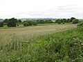 Bringsty Common grassland - geograph.org.uk - 860747.jpg