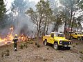 APFM protégeant les lisières d'un brûlage dirigé en forêt Domaniale des Maures en 2006.