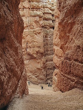 Wall Street, Navajo Loop Trail, Bryce Canyon National Park, Utah.