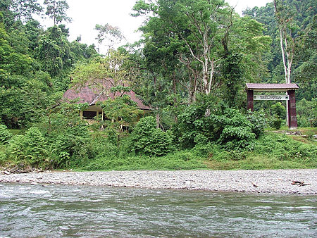 Vườn_quốc_gia_Gunung_Leuser