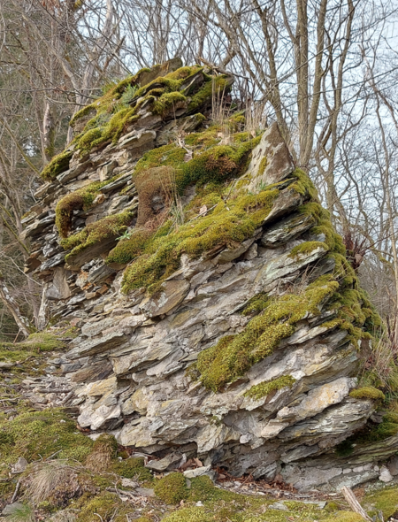 Burg Neu Langenau, Turmrest 213