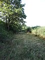 Tranchée le long du chemin menant à La Croix de Bard.