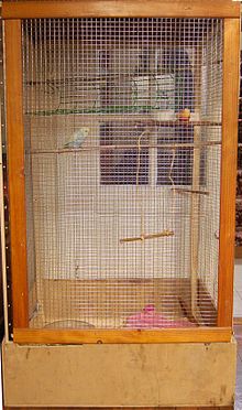 cage Simple Wiktionary