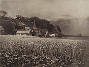 The onion field, 1890, Camera Work 1907