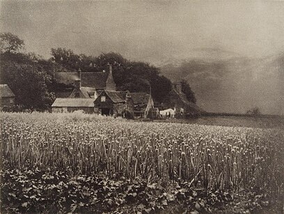 George Davison, The Onion Field, 1907