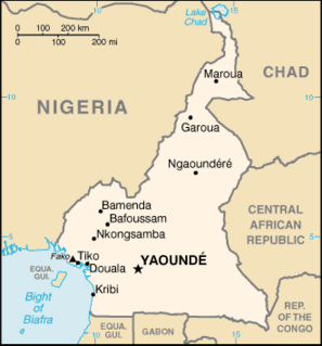 Cameroon–Nigeria border International border