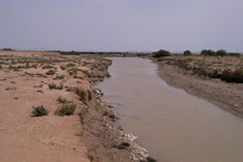 Canal traditionnel d'épandage des eaux des crues.png