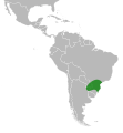 Range of Chaetocalyx nigricans