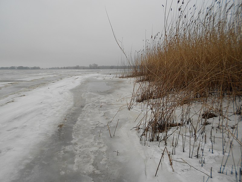 File:Cherkas'kyi district, Cherkas'ka oblast, Ukraine - panoramio (253).jpg