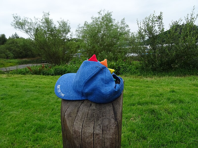 File:Children's cap in Balmaha.jpg