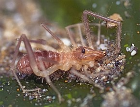 Popis tohoto obrázku, také komentován níže