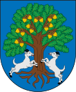 Coats of arms of Argüello.svg