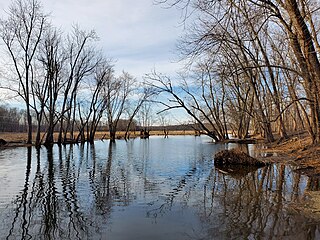 <span class="mw-page-title-main">Coginchaug River</span> River in Connecticut, United States