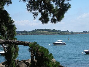 Creïzic vue depuis l'île de Berder