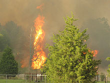 The fire along US 287 CrockettFire.jpg