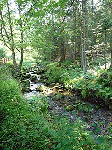 Défilé de Straiture-Scierie du Lançoir-Petite Meurthe.jpg