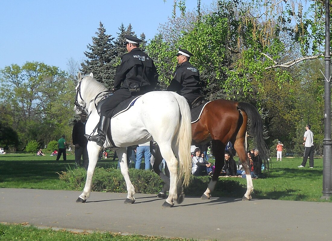 Poliție călare