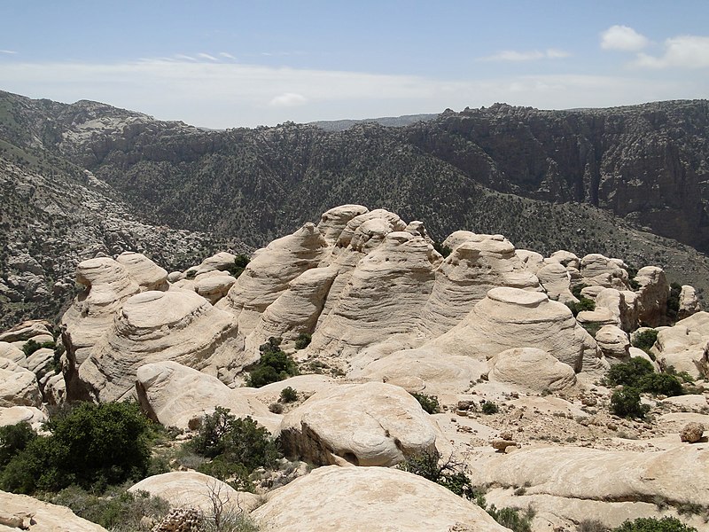 File:Dana Reserve 06.jpg