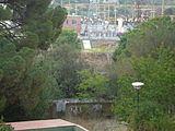 Arbres del darrera de Can Candeler, vistos des del carrer.