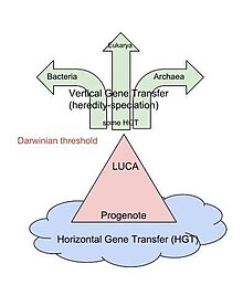 Darwinian threshold: the transition period during the evolution of the first cells when genetic transmission moves from a predominantly horizontal mode to a vertical mode Darwinian threshold.jpg