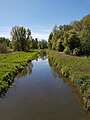 Die Fuhse - Abschnitt zwischen Peine und Telgte (Landkreis Peine) in Niedersachsen