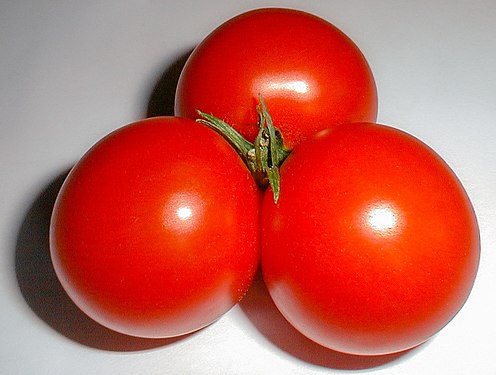 Tomato triplet