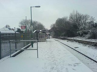 Dingle Road railway station