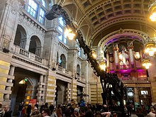 The Centre Hall, looking towards the Pipe Organ flanked by original electroliers, with Dippy the Diplodocus on tour January–May 2019[6]