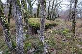 Dolmen du Mas de Parra