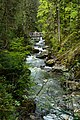 Donnersbachklamm Brücke 01.JPG