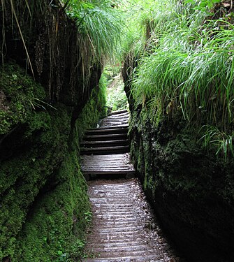 Treppe in der Drachenschlucht Eisenach